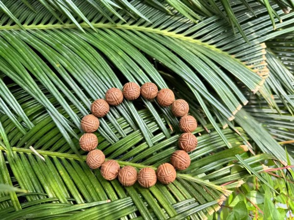 640_wx_fmt=jpeg&from=appmsg&tp=webp&wxfrom=5&wx_lazy=1 (6).jpg